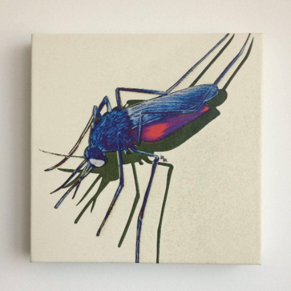 Mosquito - Original Wall Art print on 12 x 12 canvas - Picture 2 of 6